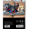 image Crusoe The Celebrity Dachshund 2027 Engagement Planner First Alternate Image