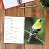 image Backyard Birds 2027 Engagement Planner Second Alternate Image
