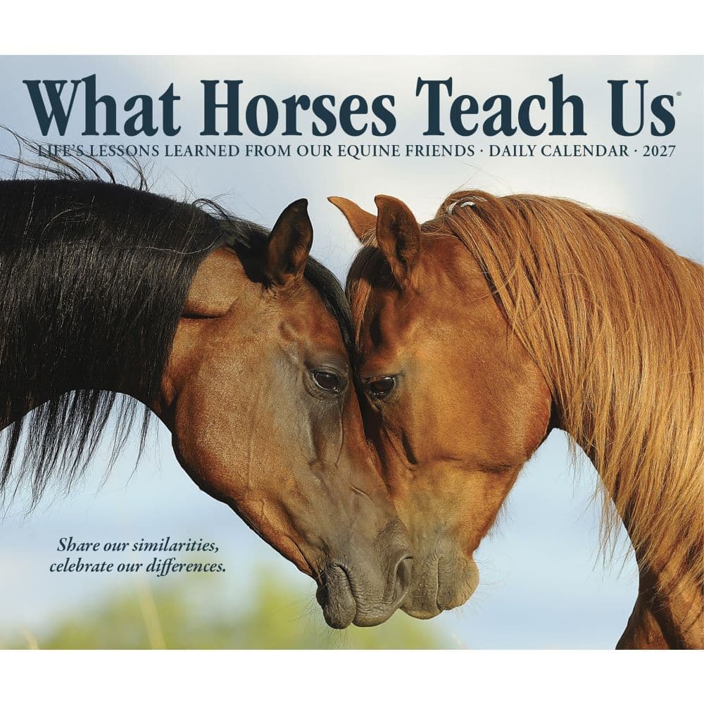 What Horses Teach Us 2027 Desk Calendar Fourth Alternate Image