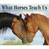 image What Horses Teach Us 2027 Desk Calendar Fourth Alternate Image