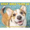 image What Dogs Teach Us 2027 Desk Calendar Fourth Alternate Image