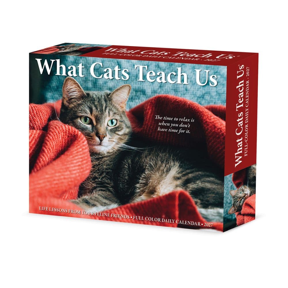 What Cats Teach Us 2027 Desk Calendar Main Product Image