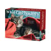 image What Cats Teach Us 2027 Desk Calendar Main Product Image