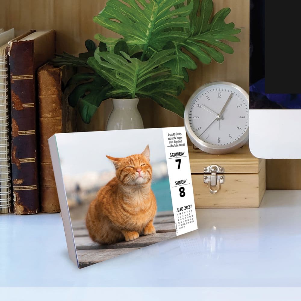 What Cats Teach Us 2027 Desk Calendar Second Alternate Image
