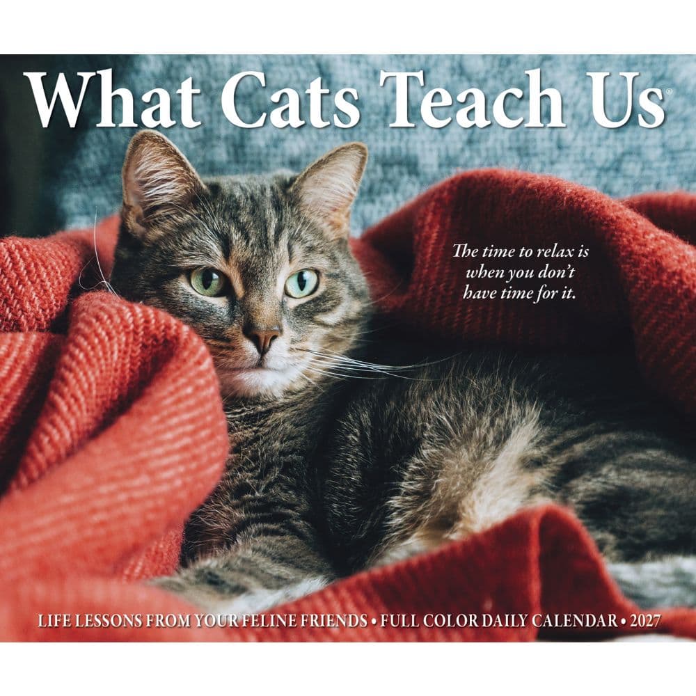 What Cats Teach Us 2027 Desk Calendar Fourth Alternate Image
