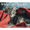 image What Cats Teach Us 2027 Desk Calendar Fourth Alternate Image