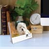 image Just Westies 2027 Desk Calendar Second Alternate Image
