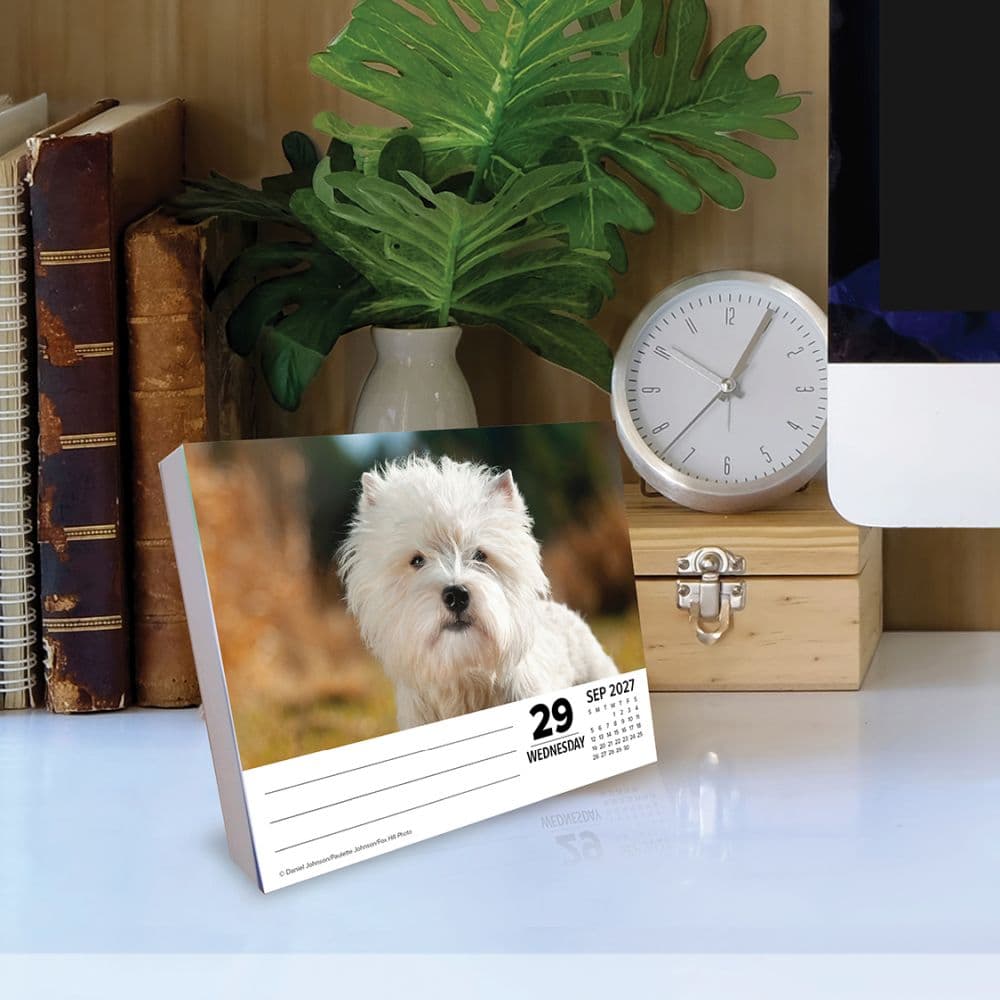 Just Westies 2027 Desk Calendar Second Alternate Image