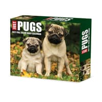 image Just Pugs 2027 Desk Calendar Main Product Image