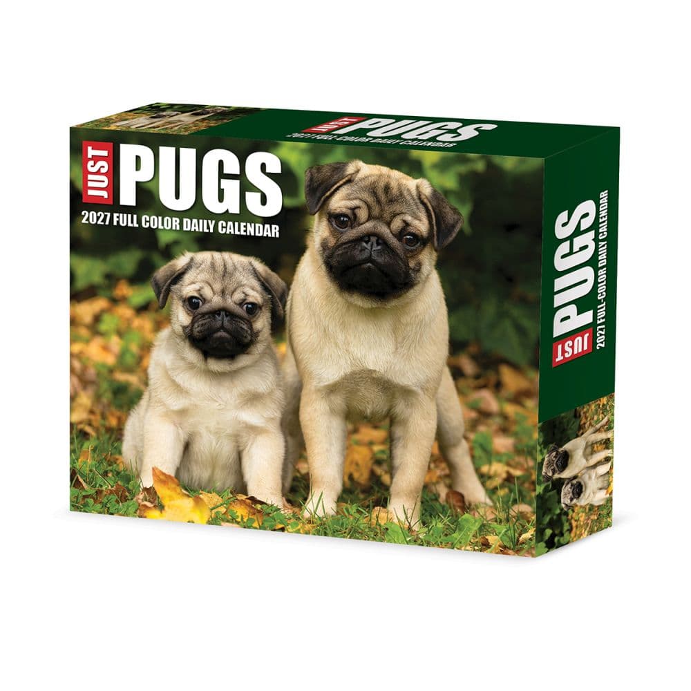 image Just Pugs 2027 Desk Calendar Main Product Image