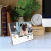 image Just Pugs 2027 Desk Calendar Second Alternate Image