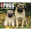 image Just Pugs 2027 Desk Calendar Fourth Alternate Image