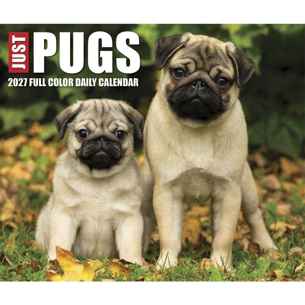 Just Pugs 2027 Desk Calendar Fourth Alternate Image