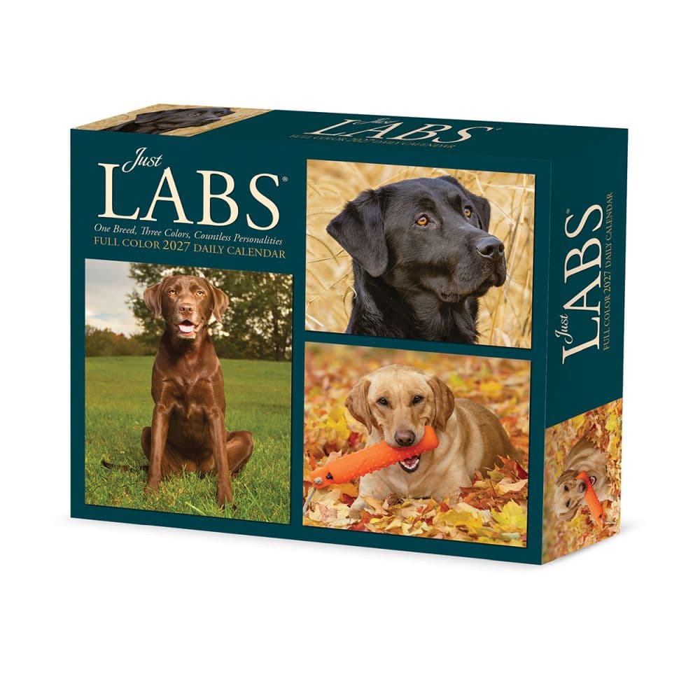 Just Labs 2027 Desk Calendar Main Product Image