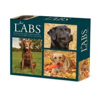 image Just Labs 2027 Desk Calendar Main Product Image