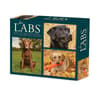 image Just Labs 2027 Desk Calendar Main Product Image