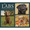 image Just Labs 2027 Desk Calendar Fourth Alternate Image
