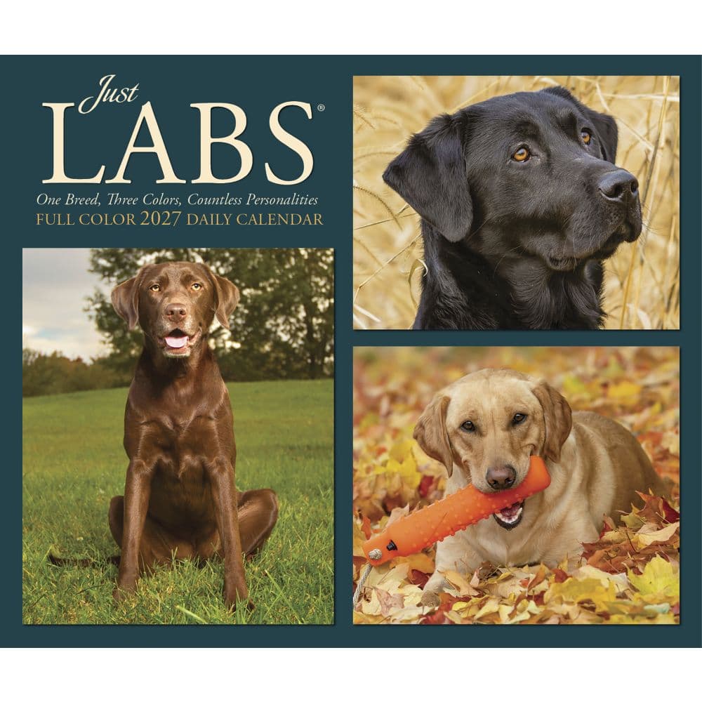 Just Labs 2027 Desk Calendar Fourth Alternate Image