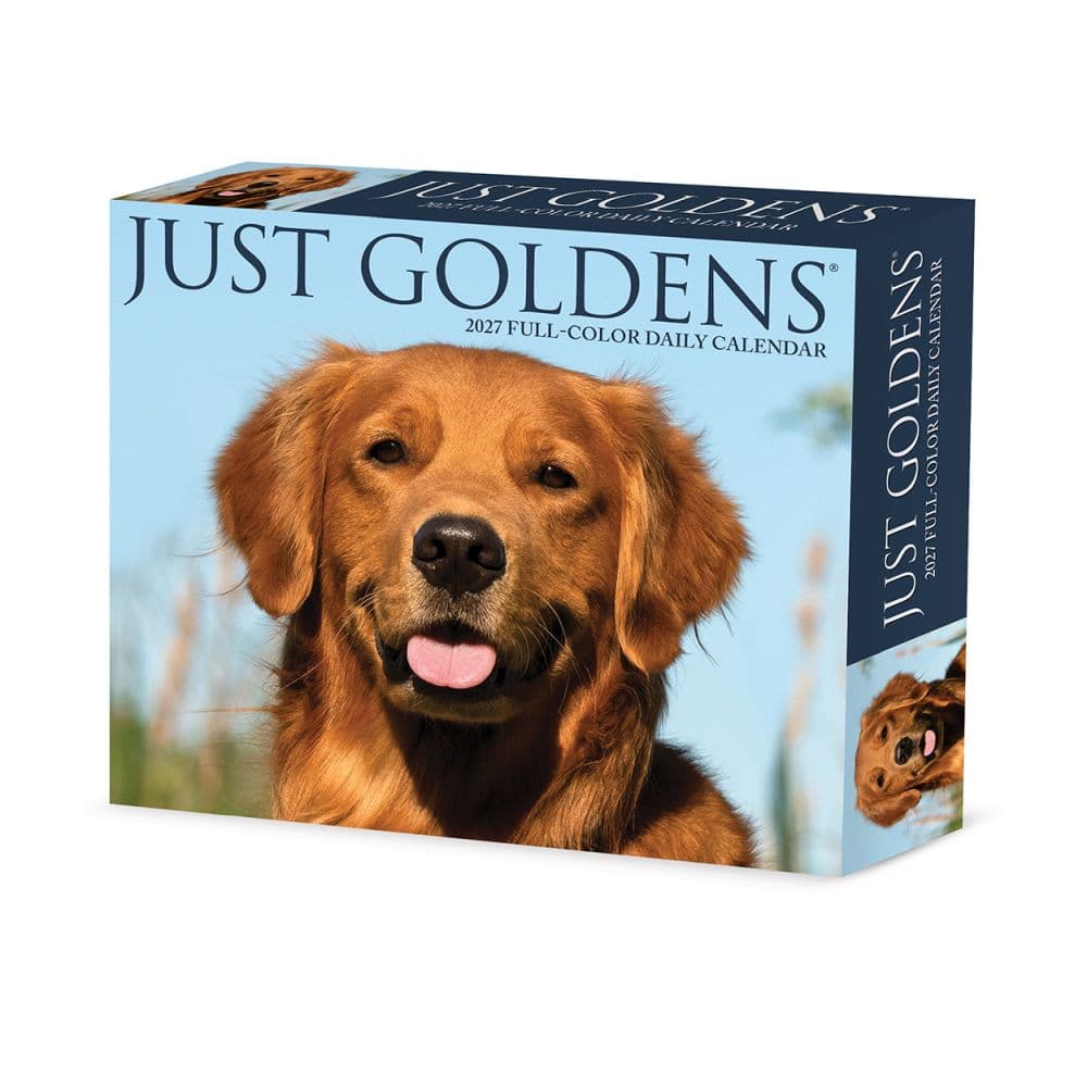 image Just Goldens 2027 Desk Calendar Main Product Image