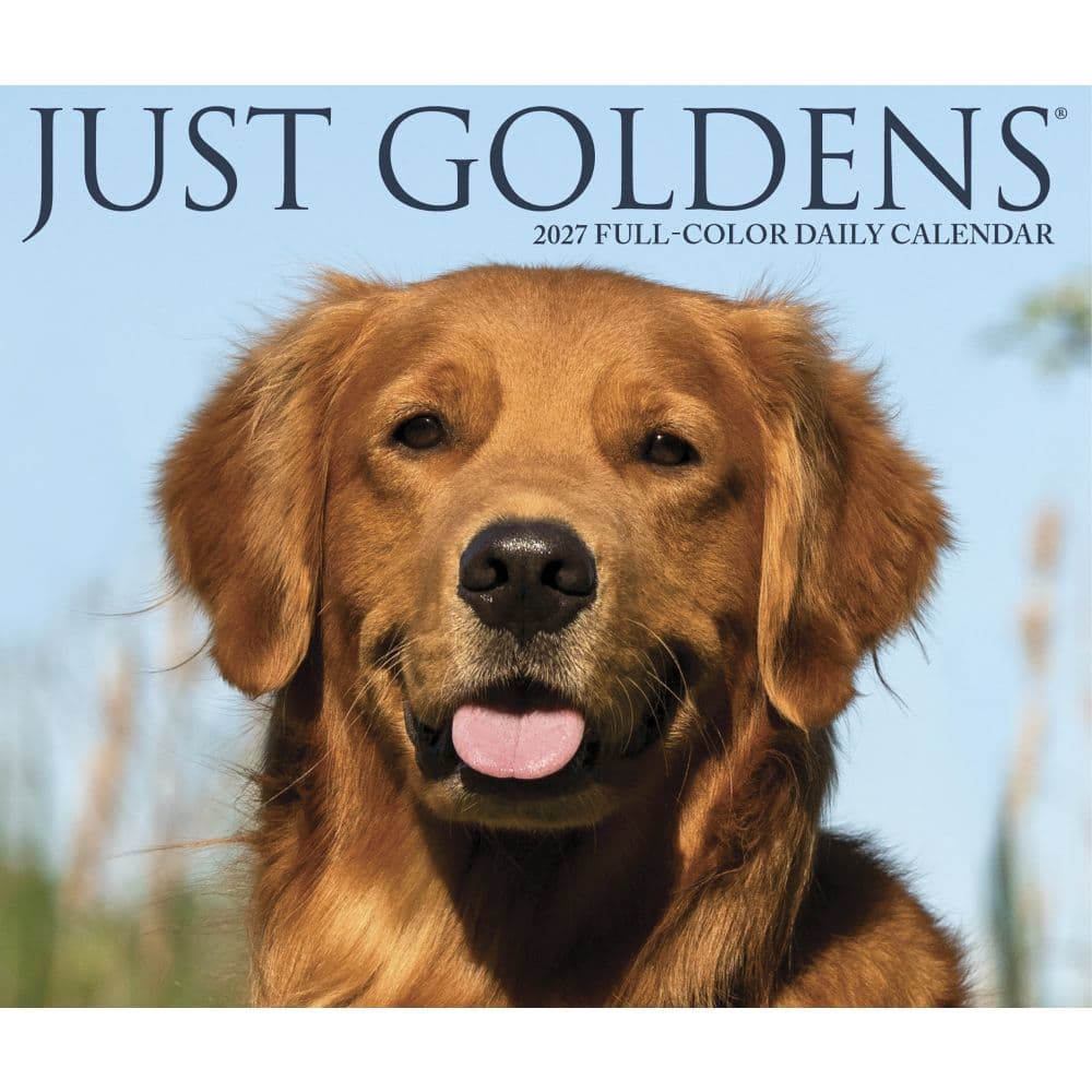 Just Goldens 2027 Desk Calendar Fourth Alternate Image