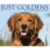 image Just Goldens 2027 Desk Calendar Fourth Alternate Image