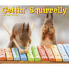 image Gettin Squirrelly 2027 Desk Calendar Fourth Alternate Image