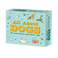 image All About Dogs 2027 Desk Calendar Main Product Image