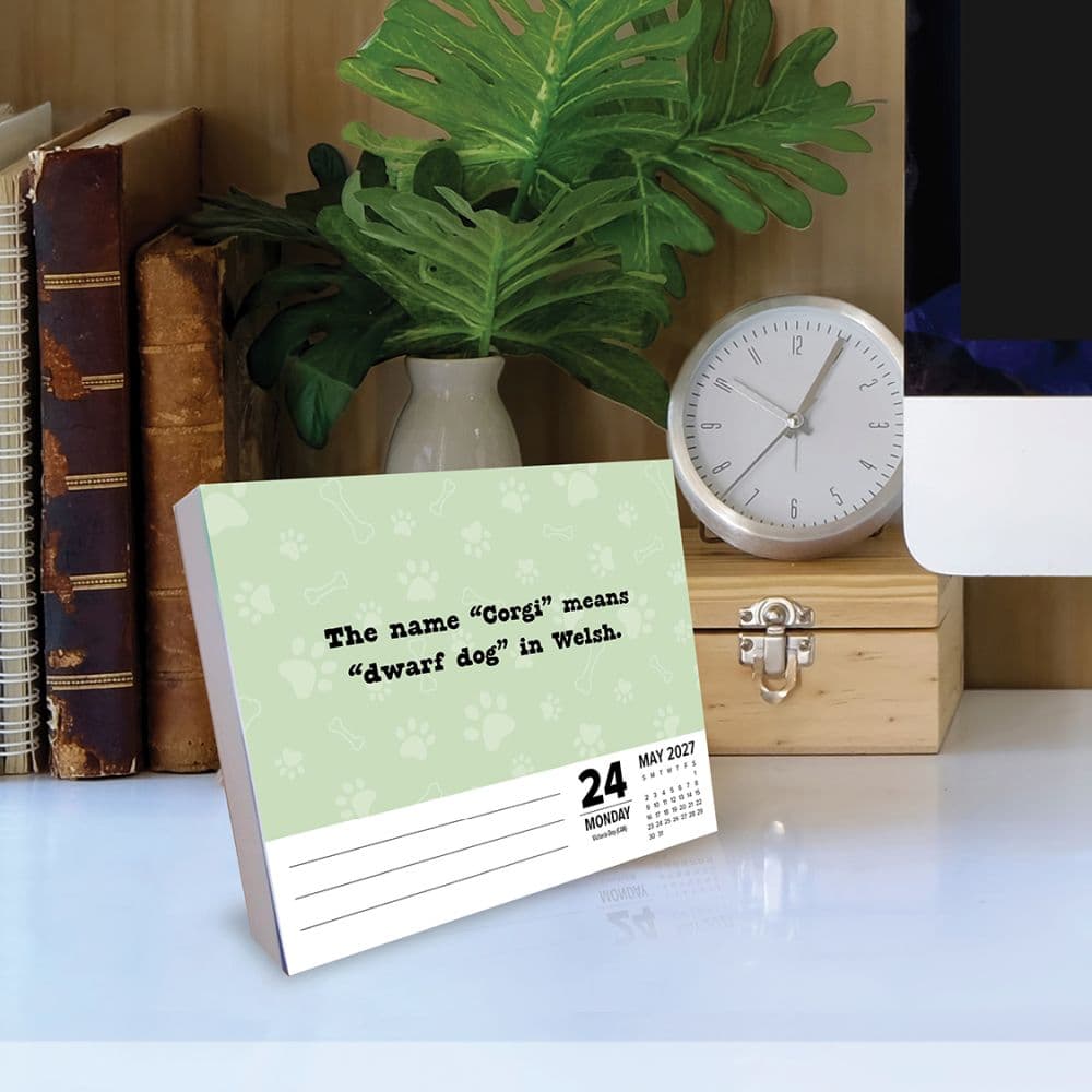 All About Dogs 2027 Desk Calendar Second Alternate Image