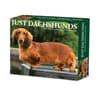 image Just Dachshunds 2027 Desk Calendar Main Product Image