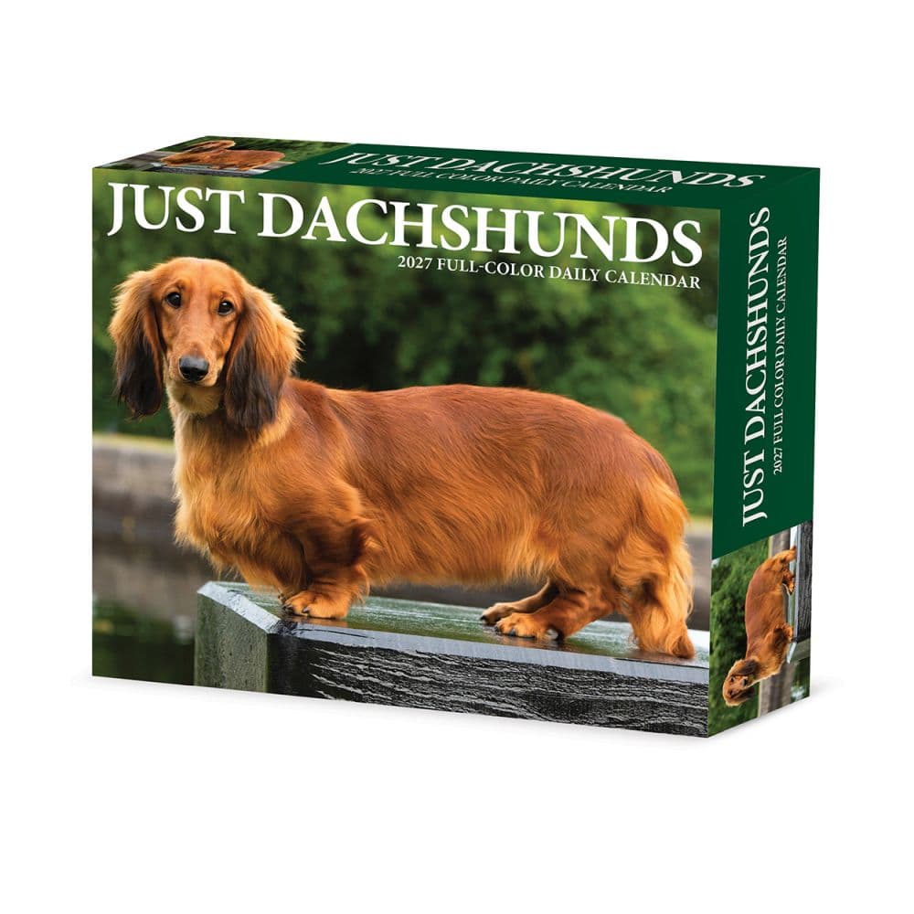 image Just Dachshunds 2027 Desk Calendar Main Product Image