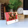 image Just Dachshunds 2027 Desk Calendar Second Alternate Image