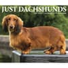 image Just Dachshunds 2027 Desk Calendar Fourth Alternate Image