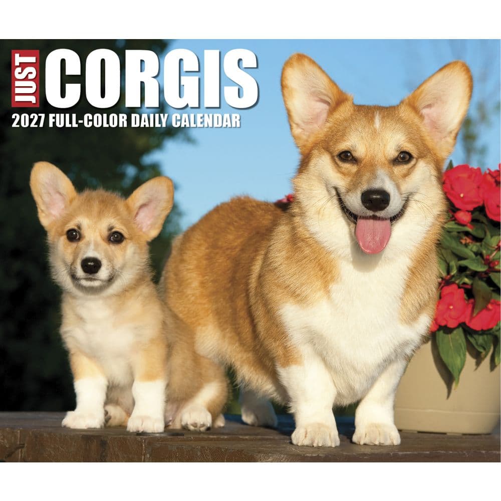 Just Corgis 2027 Desk Calendar Fourth Alternate Image