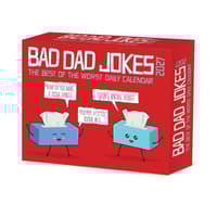 image Bad Dad Jokes 2027 Desk Calendar Main Product Image