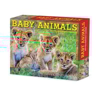image Baby Animals 2027 Desk Calendar Main Product Image