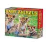 image Baby Animals 2027 Desk Calendar Main Product Image