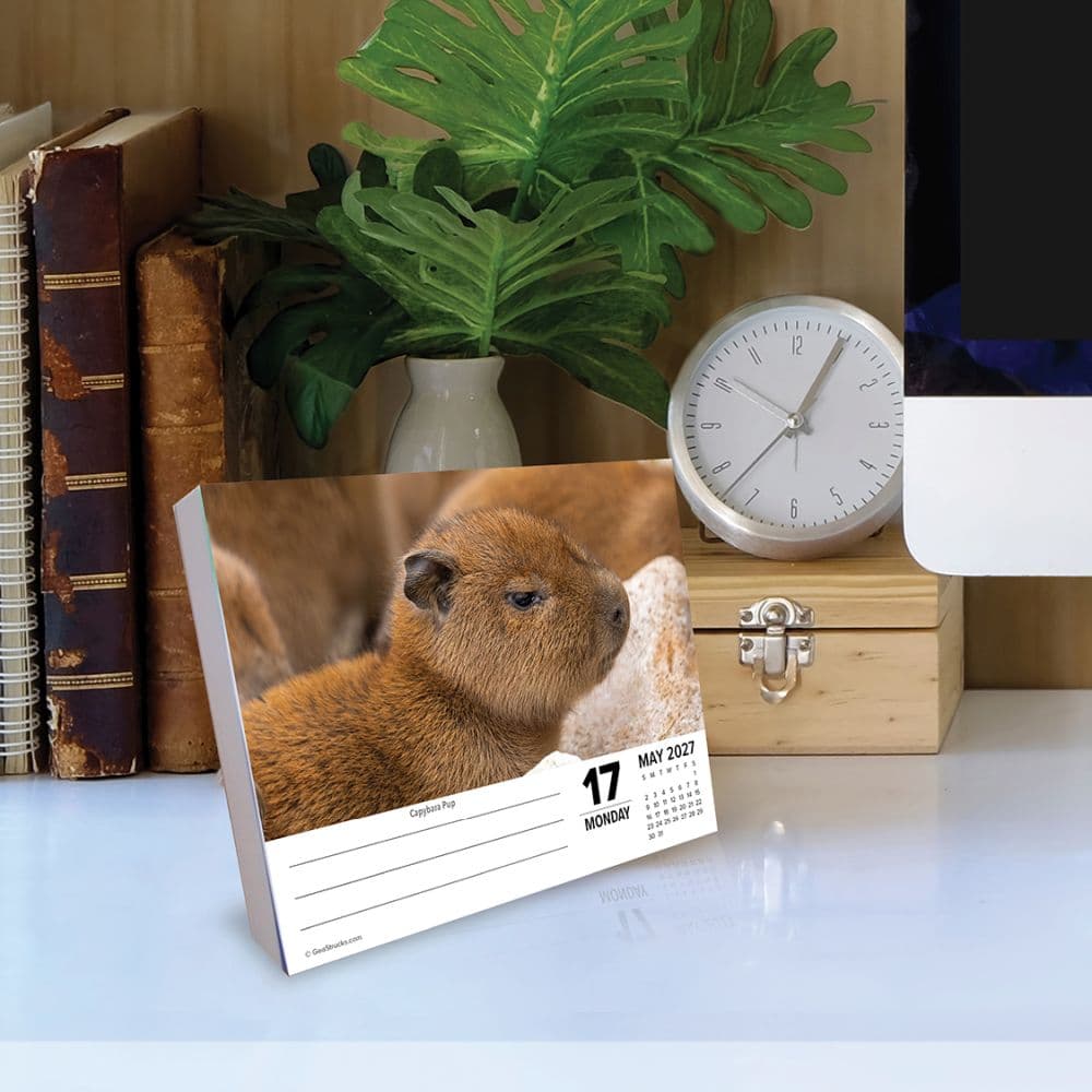 Baby Animals 2027 Desk Calendar Second Alternate Image