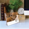 image Baby Animals 2027 Desk Calendar Second Alternate Image