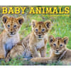 image Baby Animals 2027 Desk Calendar Fourth Alternate Image