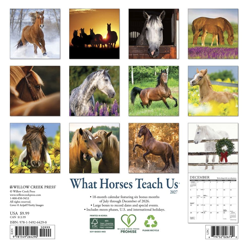 What Horses Teach Us 2027 Mini Wall Calendar First Alternate Image