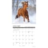 image What Horses Teach Us 2027 Mini Wall Calendar Second Alternate Image