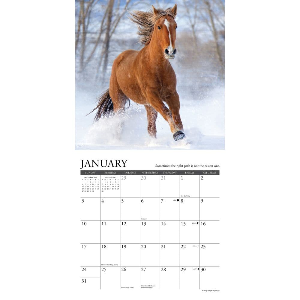 What Horses Teach Us 2027 Mini Wall Calendar Second Alternate Image