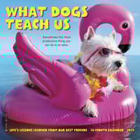 image What Dogs Teach Us 2027 Mini Wall Calendar Main Product Image