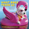 image What Dogs Teach Us 2027 Mini Wall Calendar Main Product Image