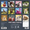 image What Dogs Teach Us 2027 Mini Wall Calendar First Alternate Image