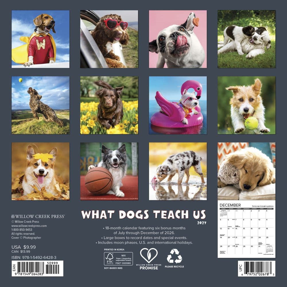 What Dogs Teach Us 2027 Mini Wall Calendar First Alternate Image