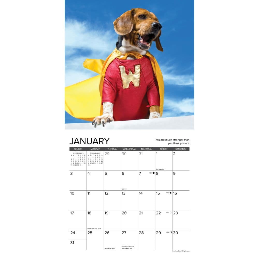 What Dogs Teach Us 2027 Mini Wall Calendar Second Alternate Image