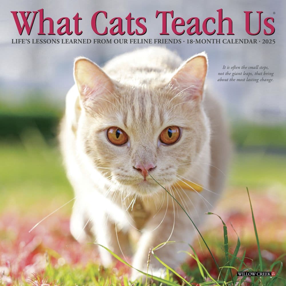 Cats What Cats Teach Us 2027 Mini Wall Calendar