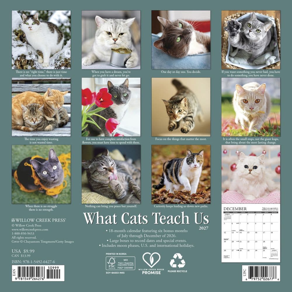 Cats What Cats Teach Us 2027 Mini Wall Calendar First Alternate Image