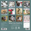 image Cats What Cats Teach Us 2027 Mini Wall Calendar First Alternate Image